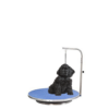 Hundetrimmebord til lille hund med galge