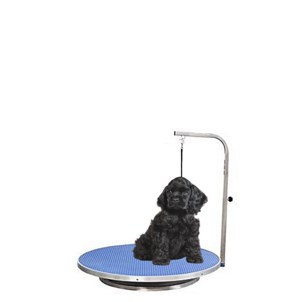 Hundetrimmebord til lille hund med galge