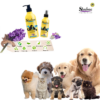 Hundeshampoo hudvenlig mild fugtgivende og kløedæmpende