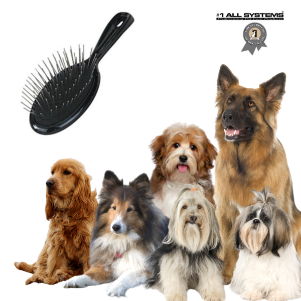 Stor hundebørste kvalitets Pin Brush SORT